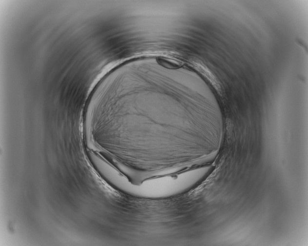 X0000096471428200802141647