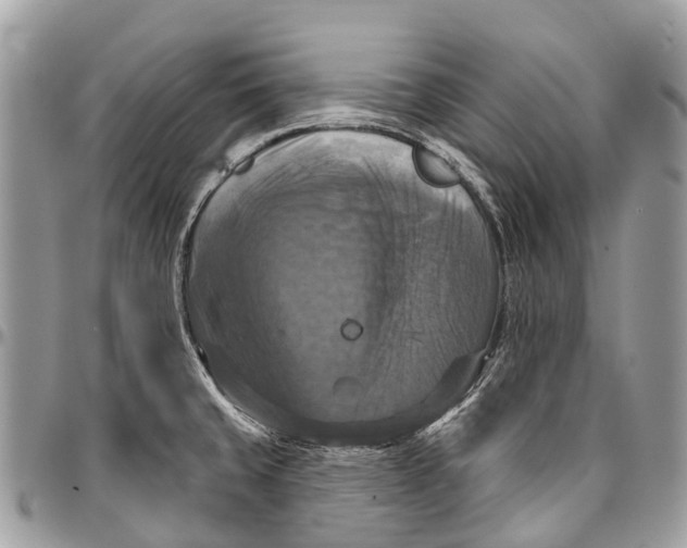 X0000096471429200802141647