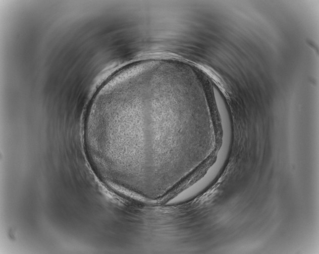 X0000096471430200802141647