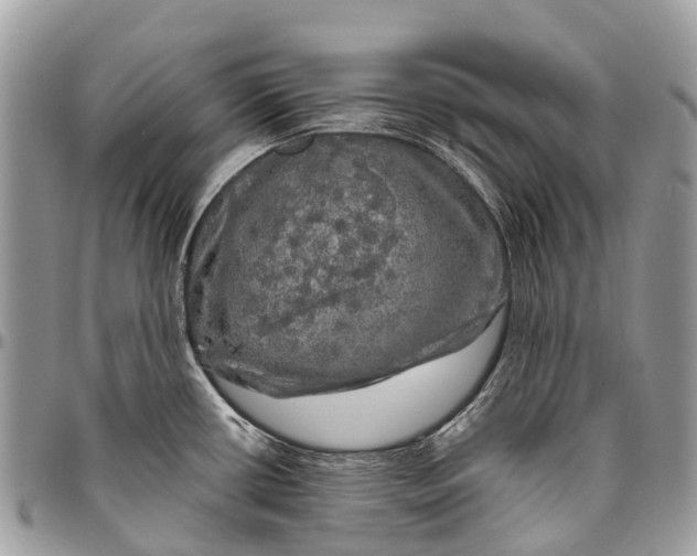 X0000096471434200802141647