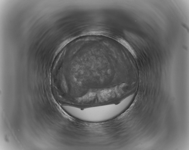 X0000096471436200802141647