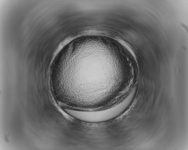 X0000096471437200802141647