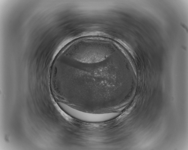 X0000096471438200802141647