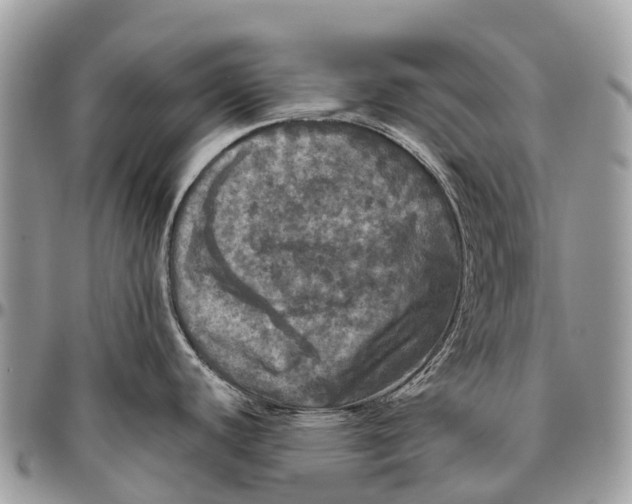 X0000096471440200802141647