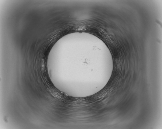 X0000096471442200802141647