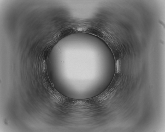 X0000096471443200802141647