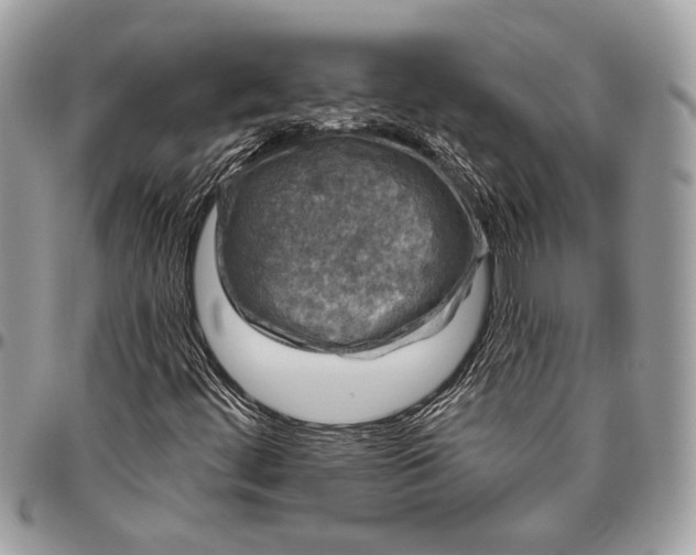 X0000096471444200802141647