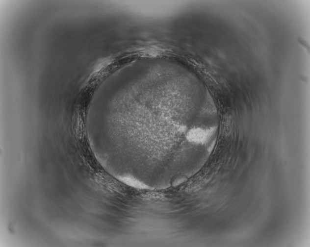 X0000096471446200802141647