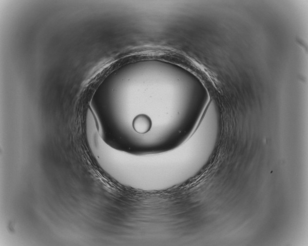 X0000096471448200802141647