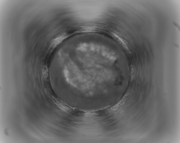 X0000096471449200802141647