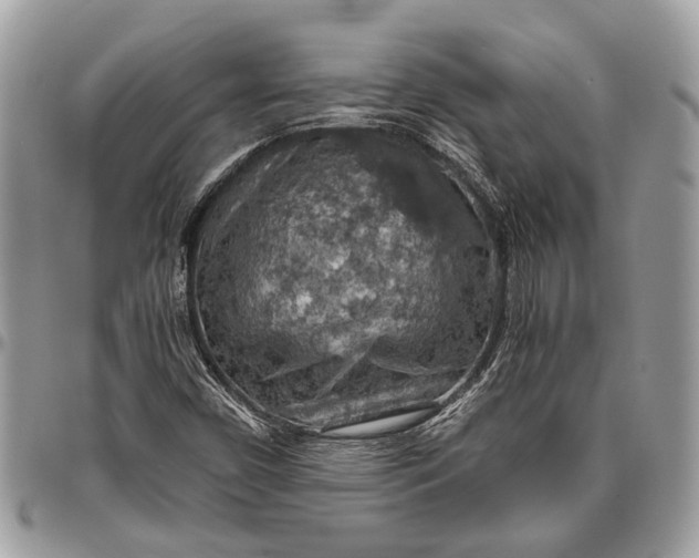 X0000096471450200802141647