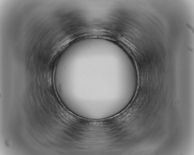 X0000096471451200802141647