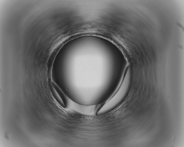 X0000096471452200802141647