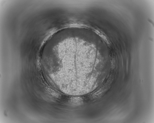 X0000096471454200802141647