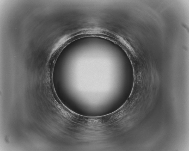 X0000096471456200802141647