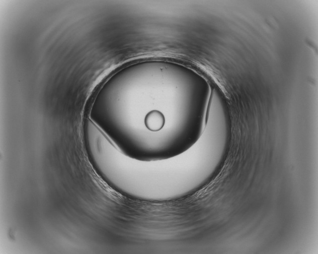 X0000096471460200802141646