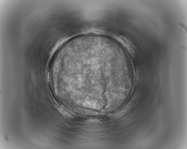 X0000096471462200802141646