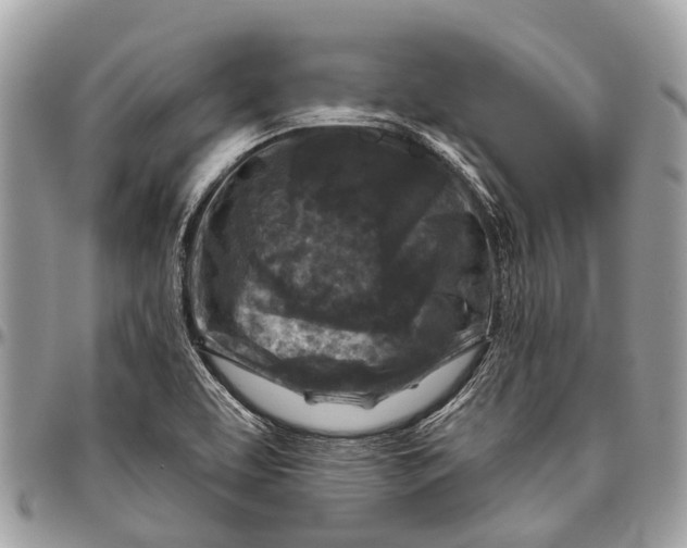 X0000096471463200802141646