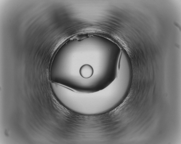 X0000096471465200802141646