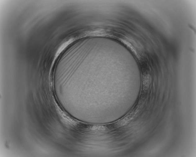 X0000096471466200802141646