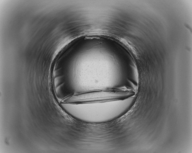 X0000096471469200802141646