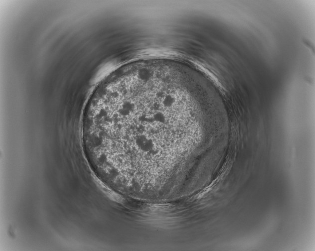 X0000096471471200802141646