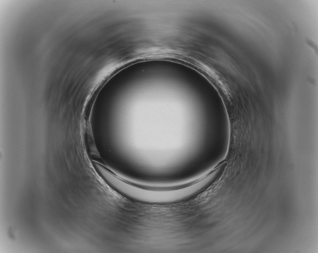 X0000096471472200802141646