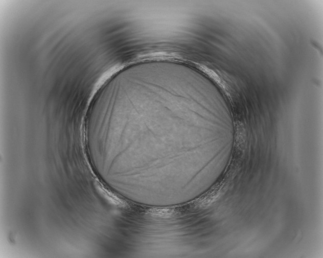 X0000096471474200802141646