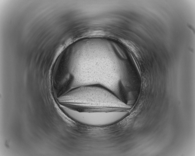 X0000096471475200802141646