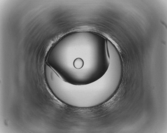 X0000096471477200802141646