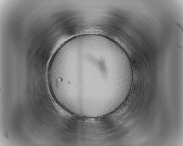 X0000096471478200802141646