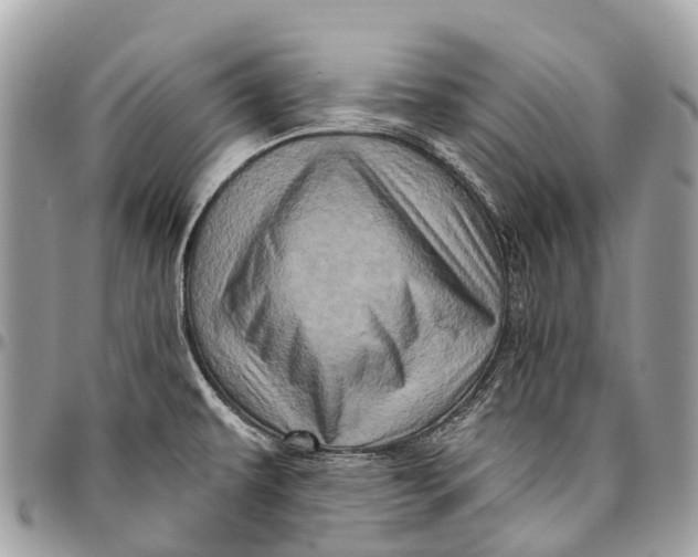 X0000096471479200802141646