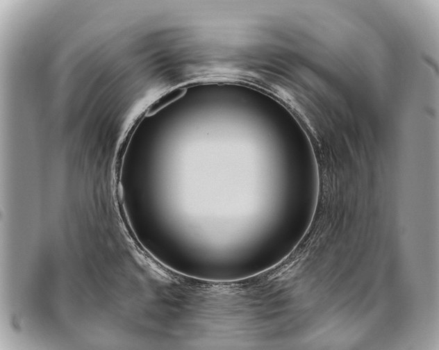 X0000096471480200802141646