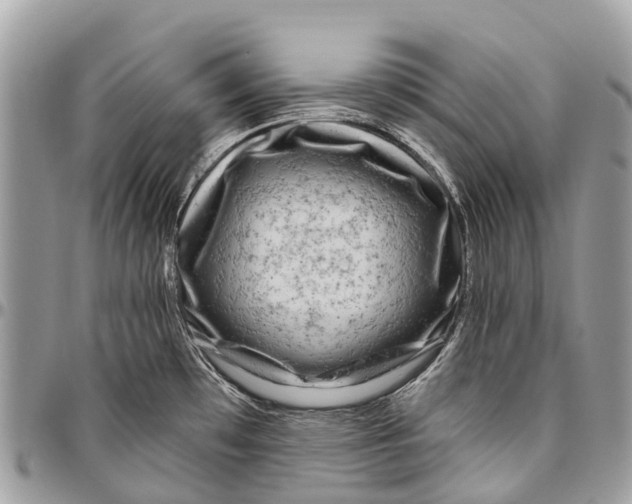 X0000096471481200802141646