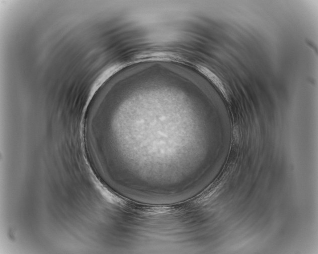 X0000096471482200802141646