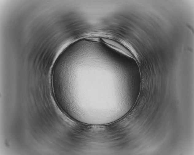 X0000096471483200802141646