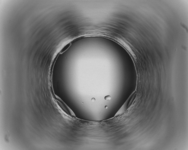 X0000096471485200802141646