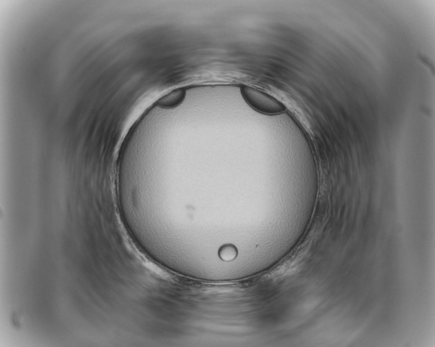 X0000096471486200802141646