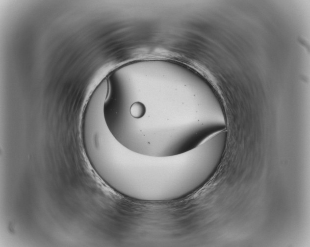 X0000096471488200802141646