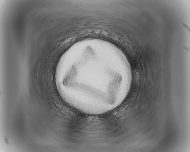 X0000096471489200802141645