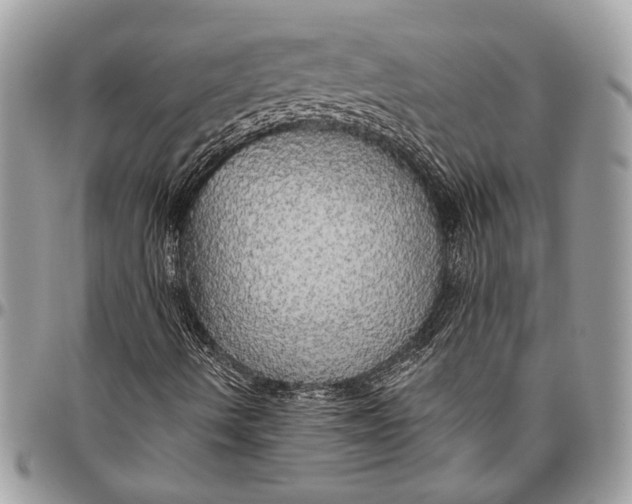 X0000096471490200802141645