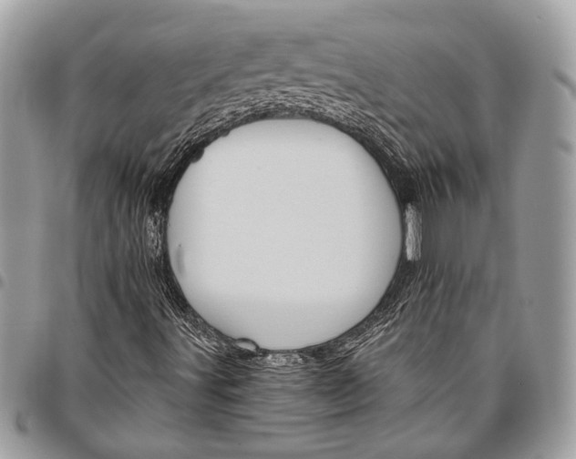 X0000096471491200802141645