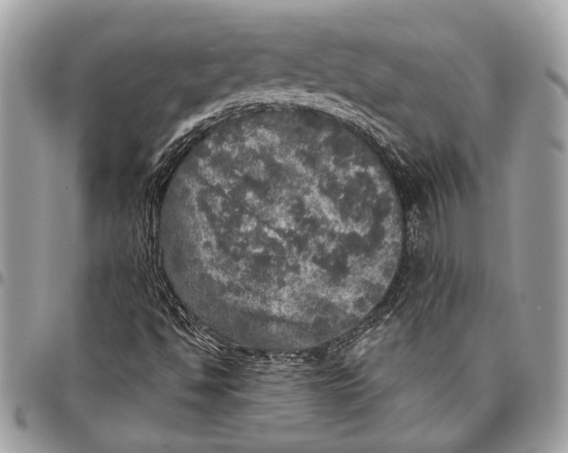 X0000096471494200802141645