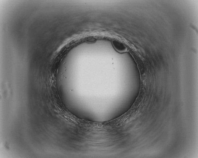 X0000096471495200802141645