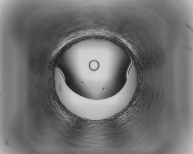 X0000096471496200802141645