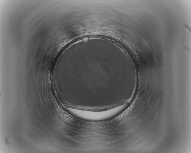 X0000096471497200802141645