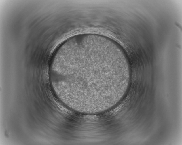 X0000096471498200802141645