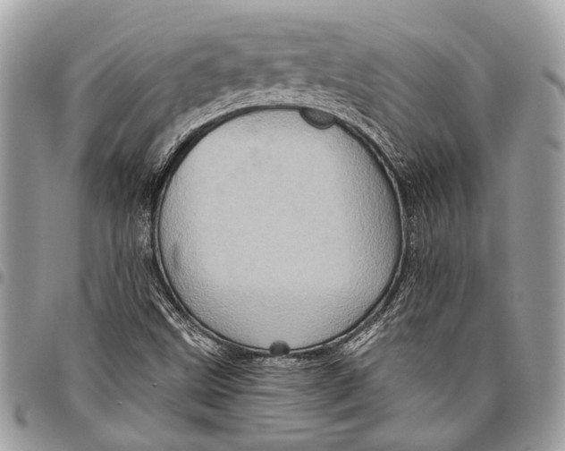 X0000096471499200802141645