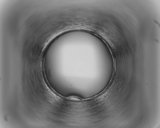 X0000096471500200802141645