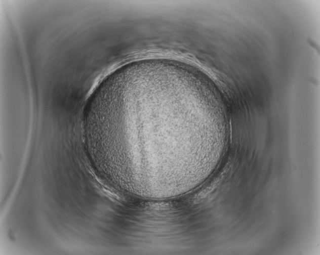 X0000096471501200802141645